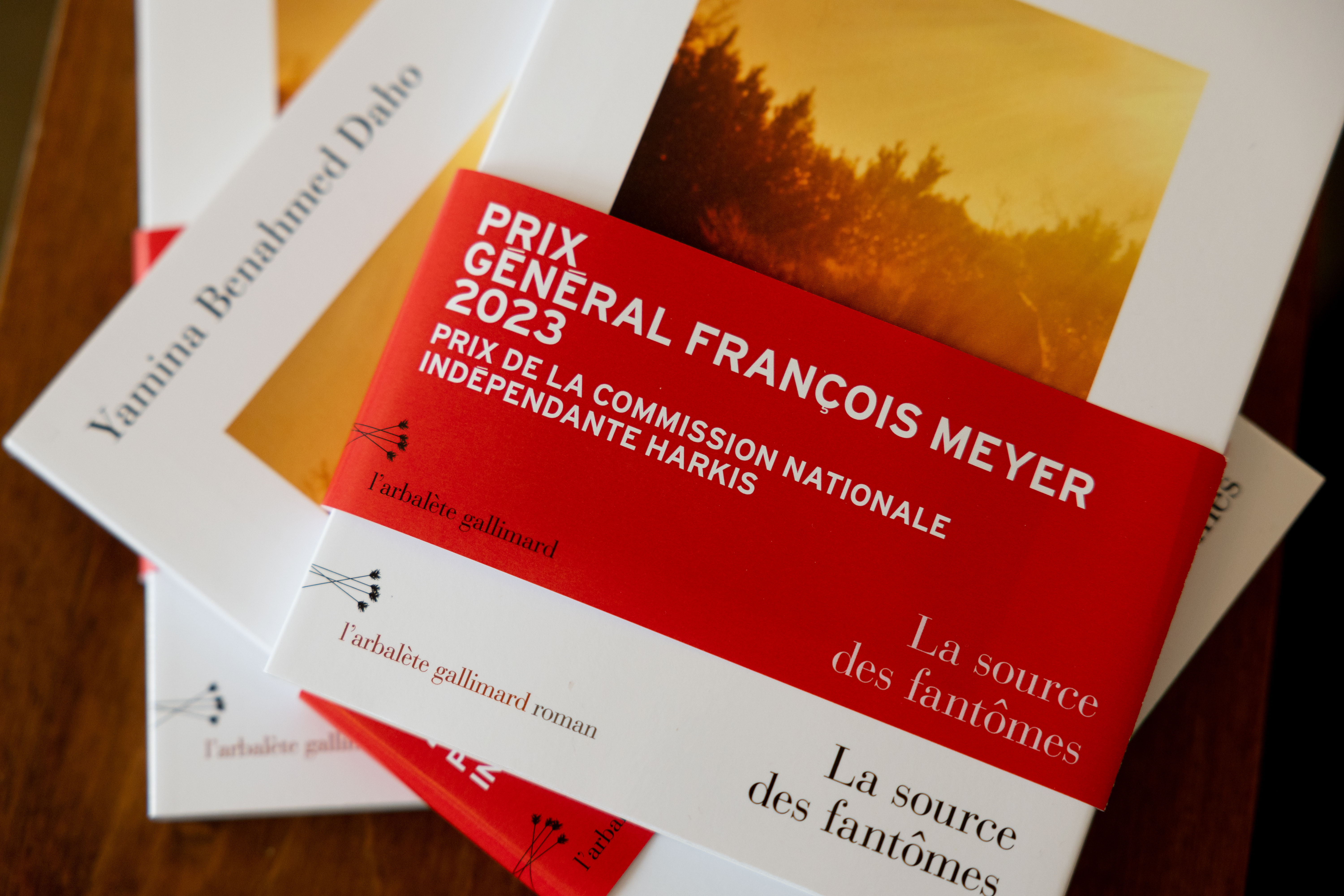 Vue de la couverture du livre primé La source des fantômes portant le bandeau du prix général François Meyer en couverture